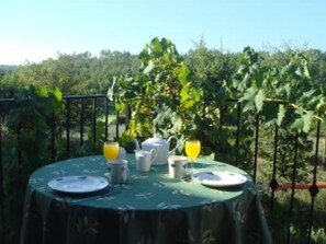 Enjoy a tranquil outdoor setting with a beautifully set table amidst lush grapevines.