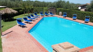 A rectangular swimming pool with blue water, surrounded by a tiled deck. There are multiple blue lounge chairs aligned along the pool's edge.