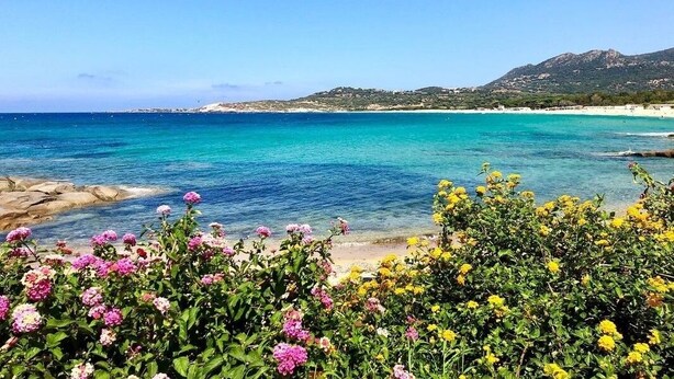 A coastal landscape with clear blue waters, a sandy beach, and a mountainous backdrop. - house / villa - Algajola (Algajola)