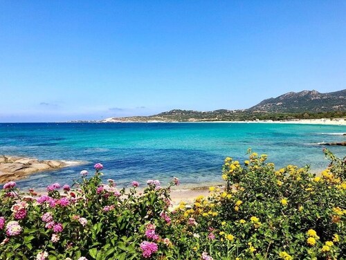 Ferienhaus - Algajola