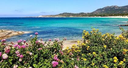 Ferienhaus - Algajola