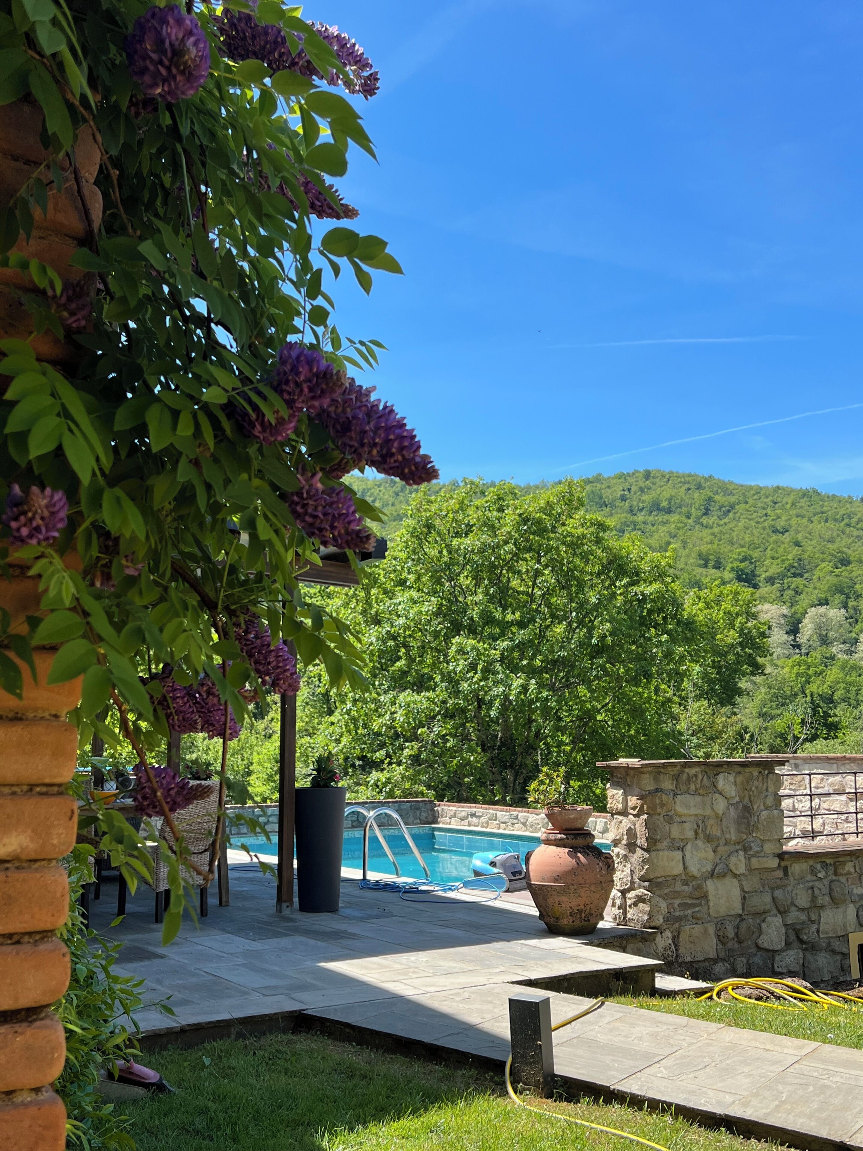 A pool area with a stone wall, a ladder, and a view of a forested hillside.