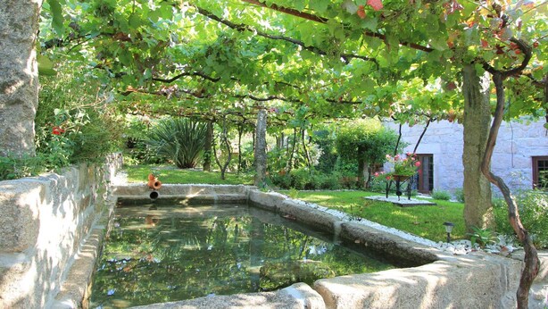 A tranquil garden with a pond, stone walls, and lush greenery.