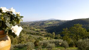 Vista de colinas ondulantes y un valle con una valla de madera al frente.