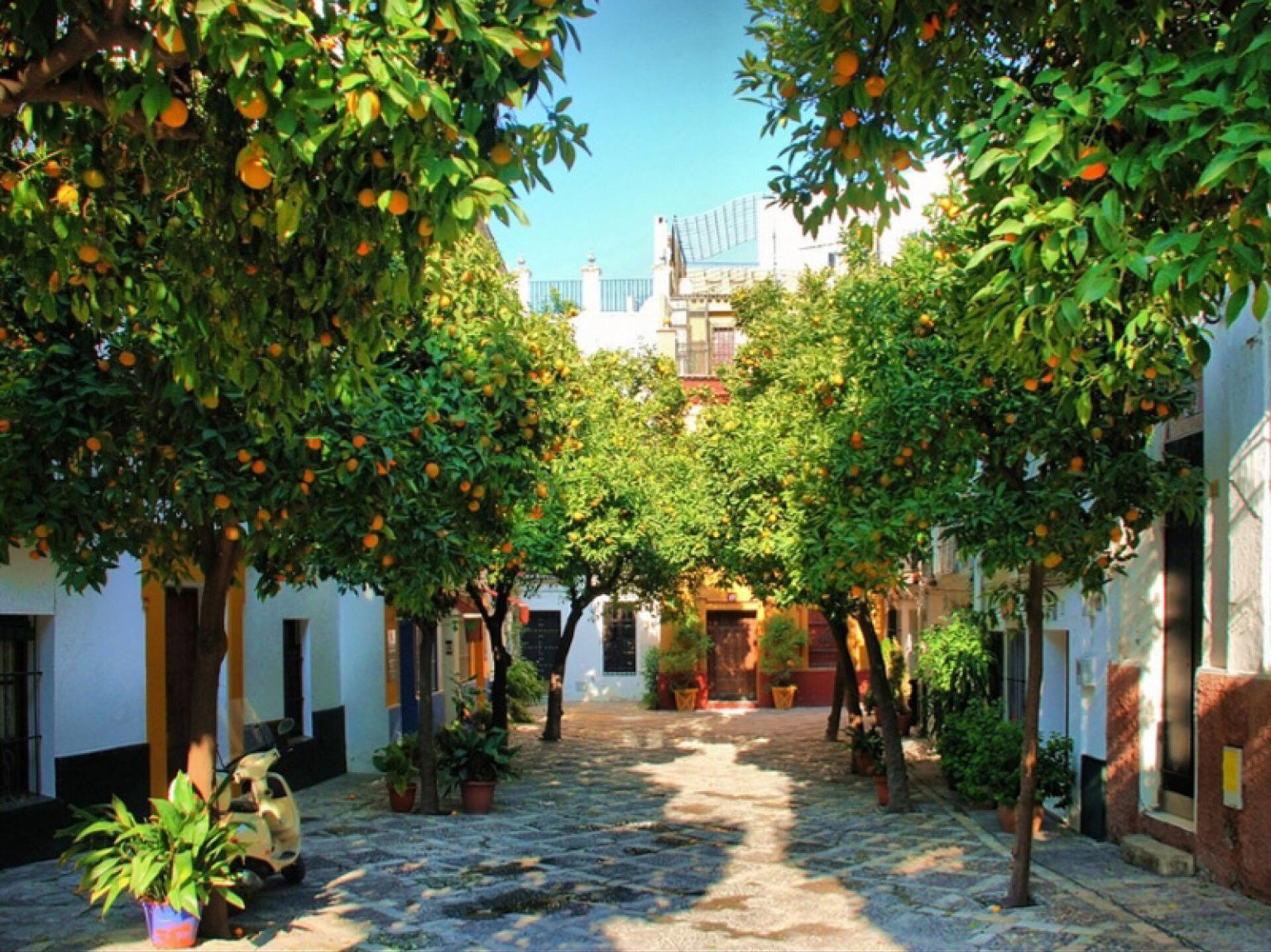 Barrio Santa Cruz, Seville