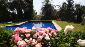 A swimming pool surrounded by lush greenery and flowering plants.