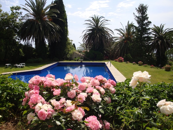 Piscine extérieure