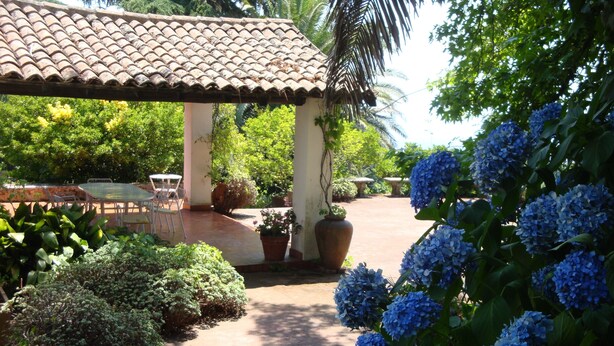 A covered patio area with a tiled roof, potted plants, and a seating arrangement.