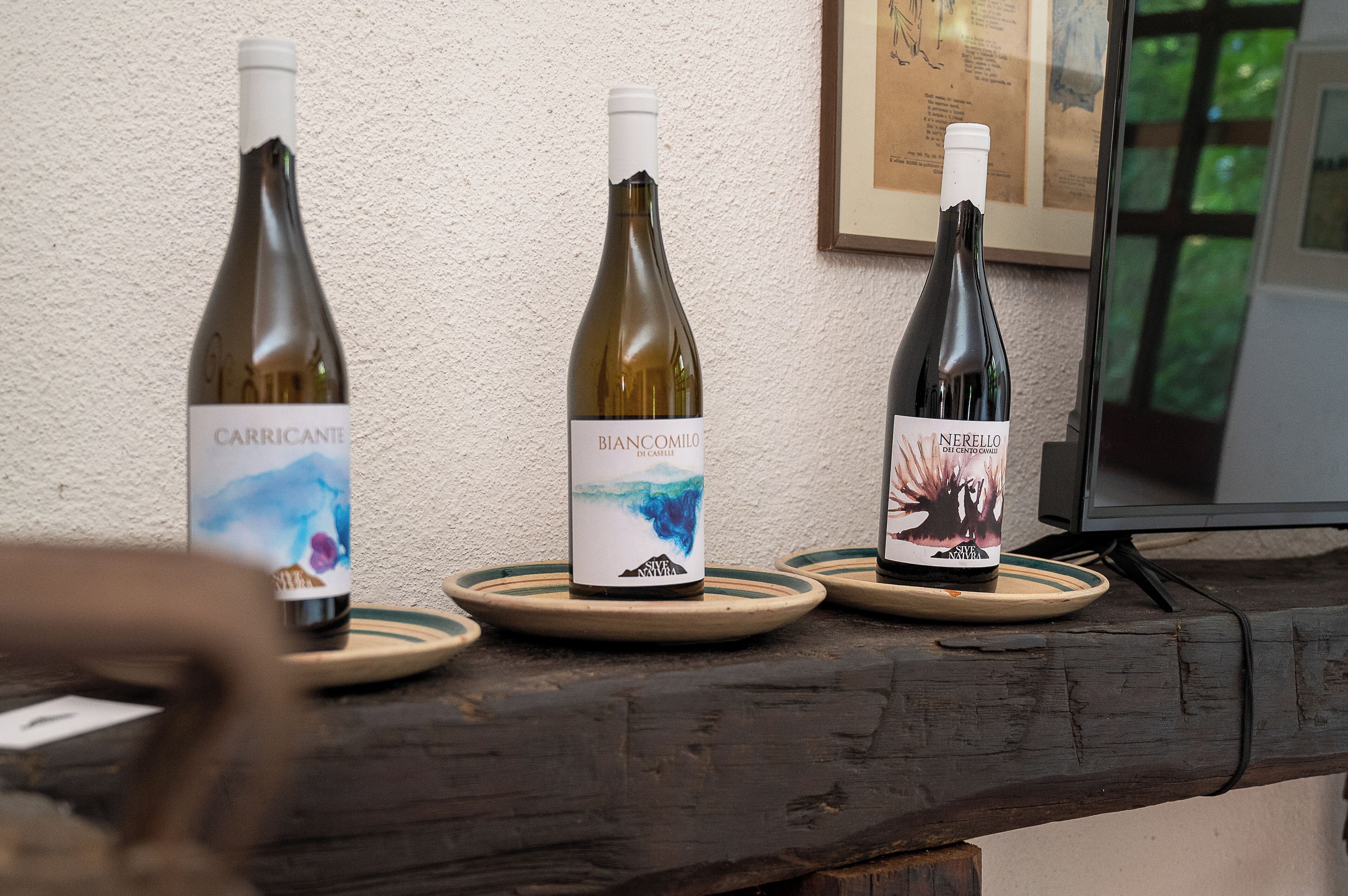 Three wine bottles on wooden coasters with labels, placed on a wooden table against a textured wall.