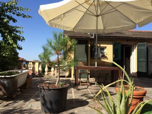 Terras