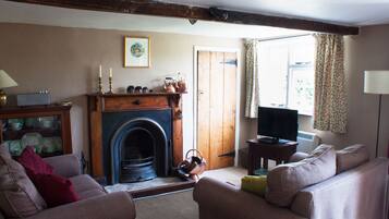 Télévision, cheminée, lecteur de DVD, médiathèque