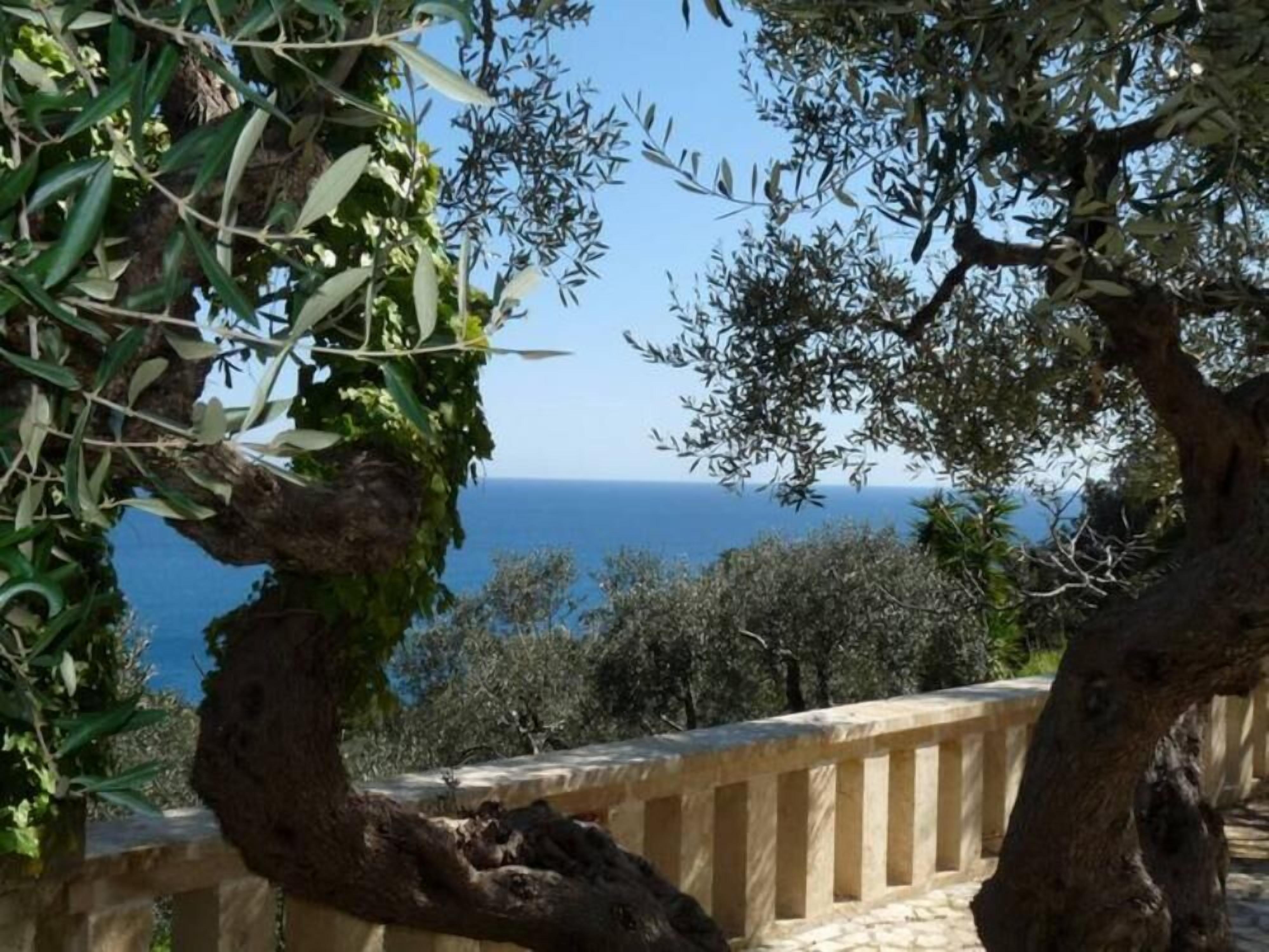 Garden with a park view