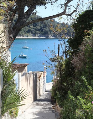 Stroll along the winding pathway to the serene coastal area, surrounded by lush greenery and scenic views of the sea.