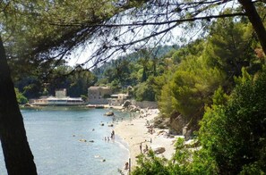 Enjoy the serene coastal views and lush surroundings of this seaside retreat.