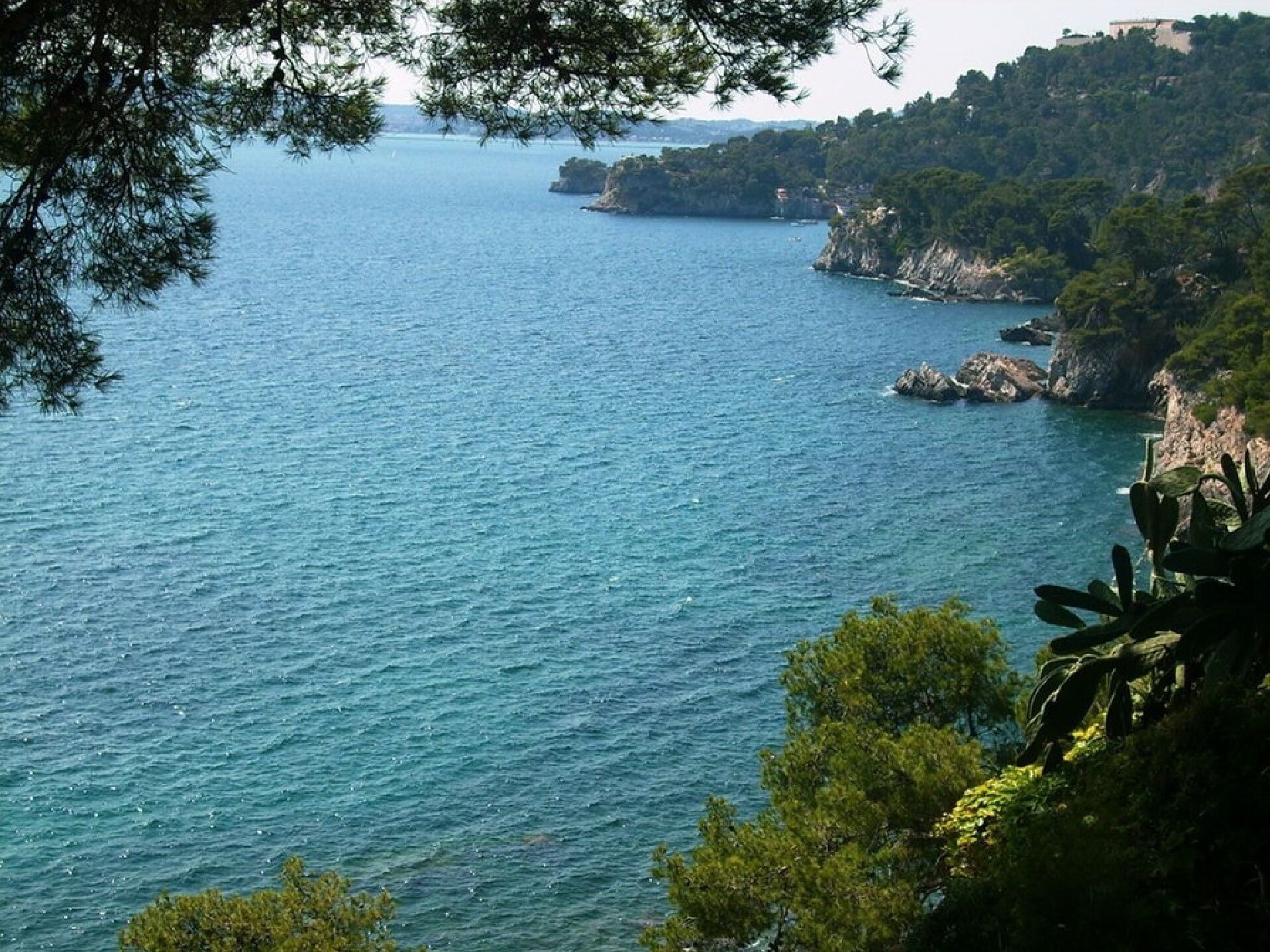 A coastal view with clear blue water, rocky cliffs, and dense greenery.