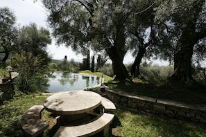 Un banc et une table en pierre, installés dans un jardin agrémenté d’un bassin et d’arbres.