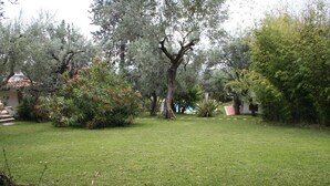 A well-maintained garden with a variety of trees and shrubs, a grassy lawn, and a small cluster of pink flowers in the foreground.