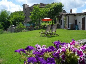 Terrain de l’hébergement 