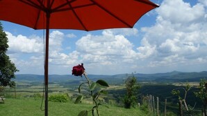 Un paraguas rojo, un florero azul y una rosa roja sobre una colina cubierta de césped, con vistas a colinas distantes.