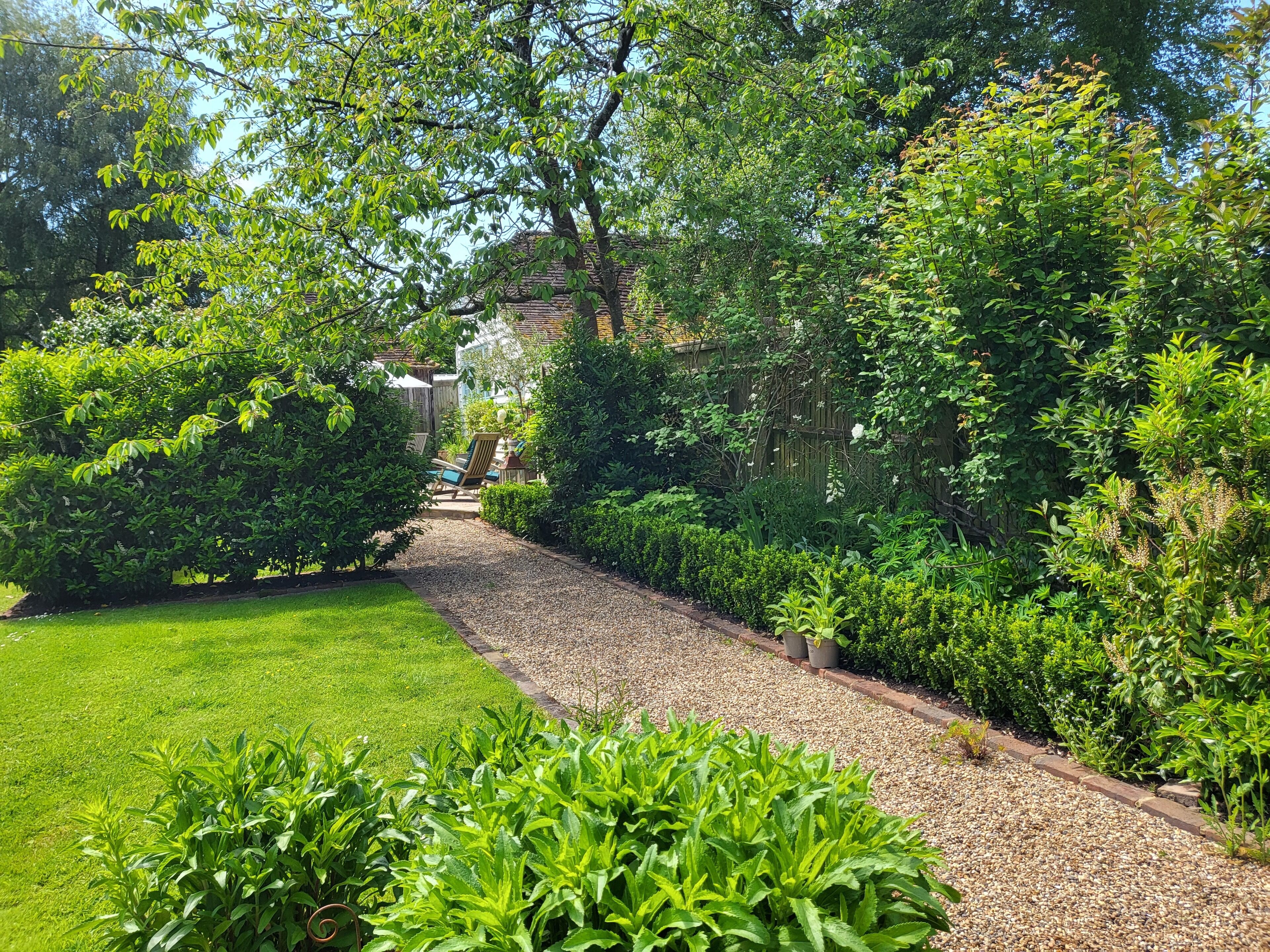 Un sentier de jardin bordé d’une végétation luxuriante et recouvert de gravier.