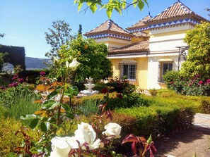 Property grounds - NOVELTY!!! Villa Andaluza near Ronda, luxurious and ideal for families and friends. (Arriate)