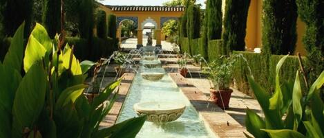 Terrein van de accommodatie