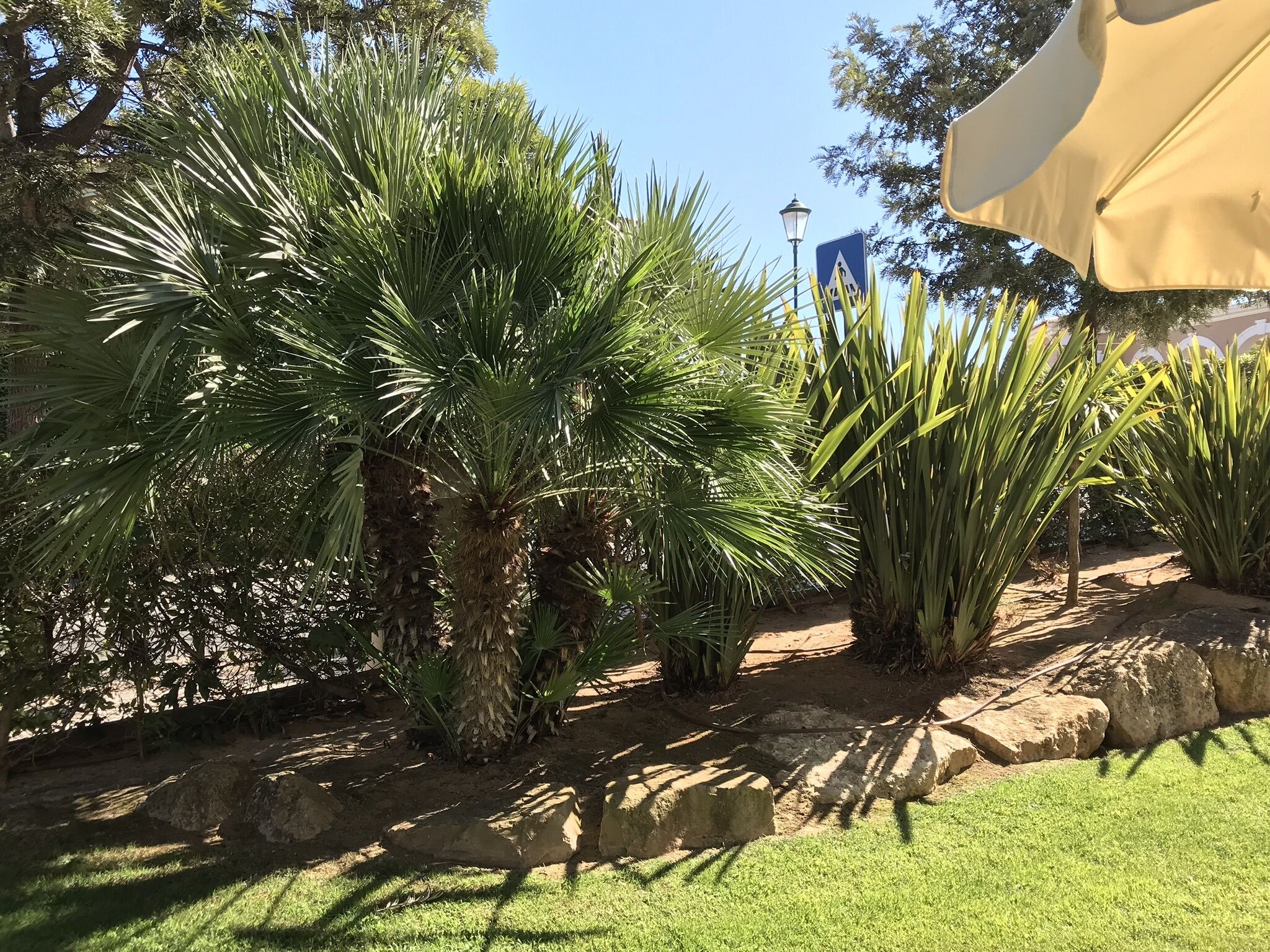 Terrein van de accommodatie