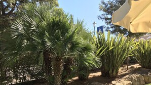 Ein Garten mit Palmen und einer Laterne.