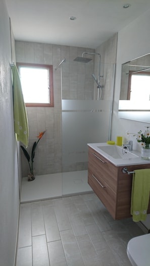 Combined shower/tub, hair dryer, bidet, towels