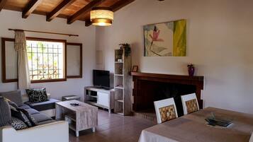 TV, fireplace, DVD player, books