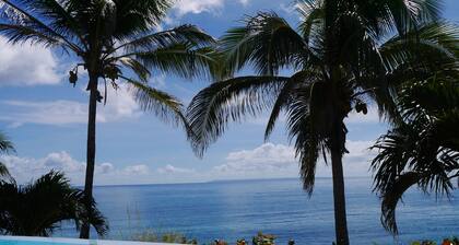 Luxurious Private Villa, Panoramic Sea View