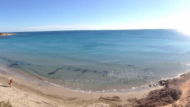 Ein Strand mit klarem, blauem Wasser und einem Sandufer.