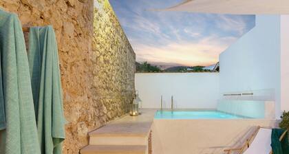 Kaupunkitalo, jossa oma uima-allas, suuret makuuhuoneet, 3 minuutin kävelymatkan päässä keskustasta