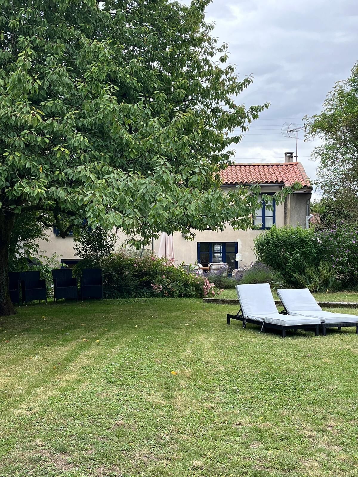 A house with a red-tiled roof, a large tree in the foreground, and two lounge chairs in the backyard.