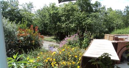 Timber frame house with garden