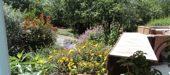 Timber frame house with garden
