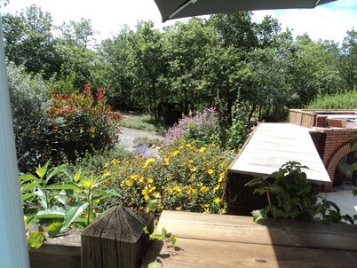 Timber frame house with garden