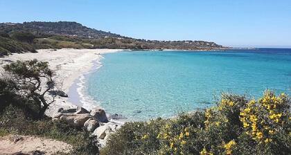 T2, Ă 350 m PLAGE de Bodri, Vue mer, Climatisation, sur grand parc paysager.
