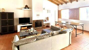 Télévision, cheminée, jeux vidéo, livres