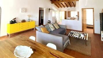 Télévision, cheminée, jeux vidéo, livres