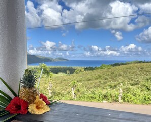 Land view from property - Rincon Rubi (Samaná)