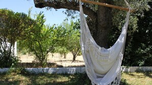 A hammock hanging from a tree branch in a garden setting. - Farmhouse - Sea and Mountains (Setubal)