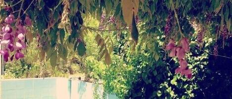 DĂ©tail de lâextĂ©rieur