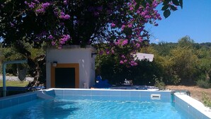 A swimming pool with clear blue water, surrounded by lush greenery and a tree with purple flowers. - Farmhouse - Sea and Mountains (Setubal)