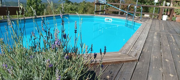 Piscina con muelle de madera y vegetación circundante.