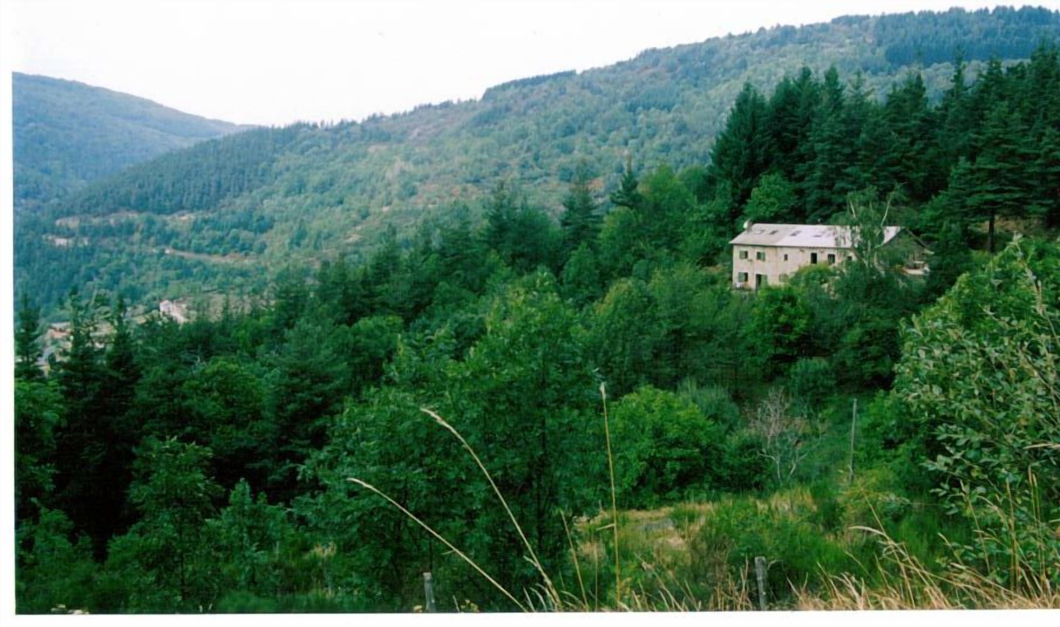 A secluded cabin surrounded by dense forest and hills.