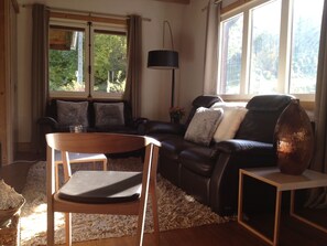 TV, fireplace, DVD player, books