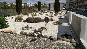 Ein angelegter Garten mit verschiedenen Pflanzen und Steinen, ein hoher Baum und ein Gebäude im Hintergrund.