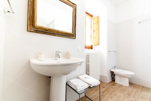 Shower, hair dryer, bidet, towels