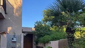 A courtyard with a tiled wall, a wooden door, and various plants including a palm tree. - WONDERFUL VILLA ON THE SEA 8/10 PEOPLE  (Lumio)